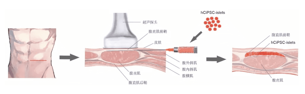 微信图片_20250515112519.png